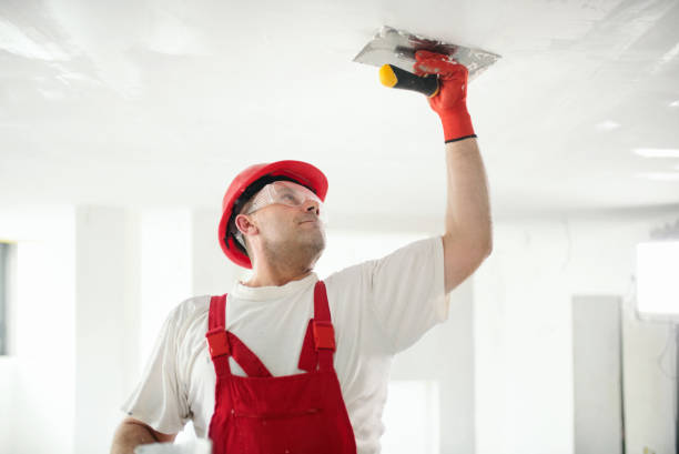 Best Fire-Damaged Drywall Repair  in Laurens, IA